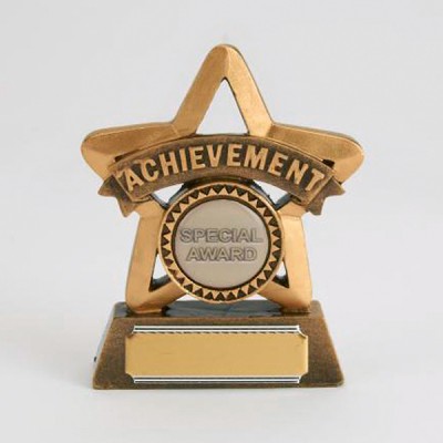 Achievement Star Trophy