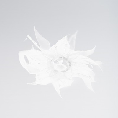 White Windmill Scrunchie