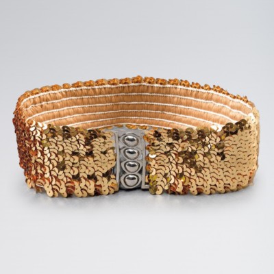 Gold Stretch Sequin Belt