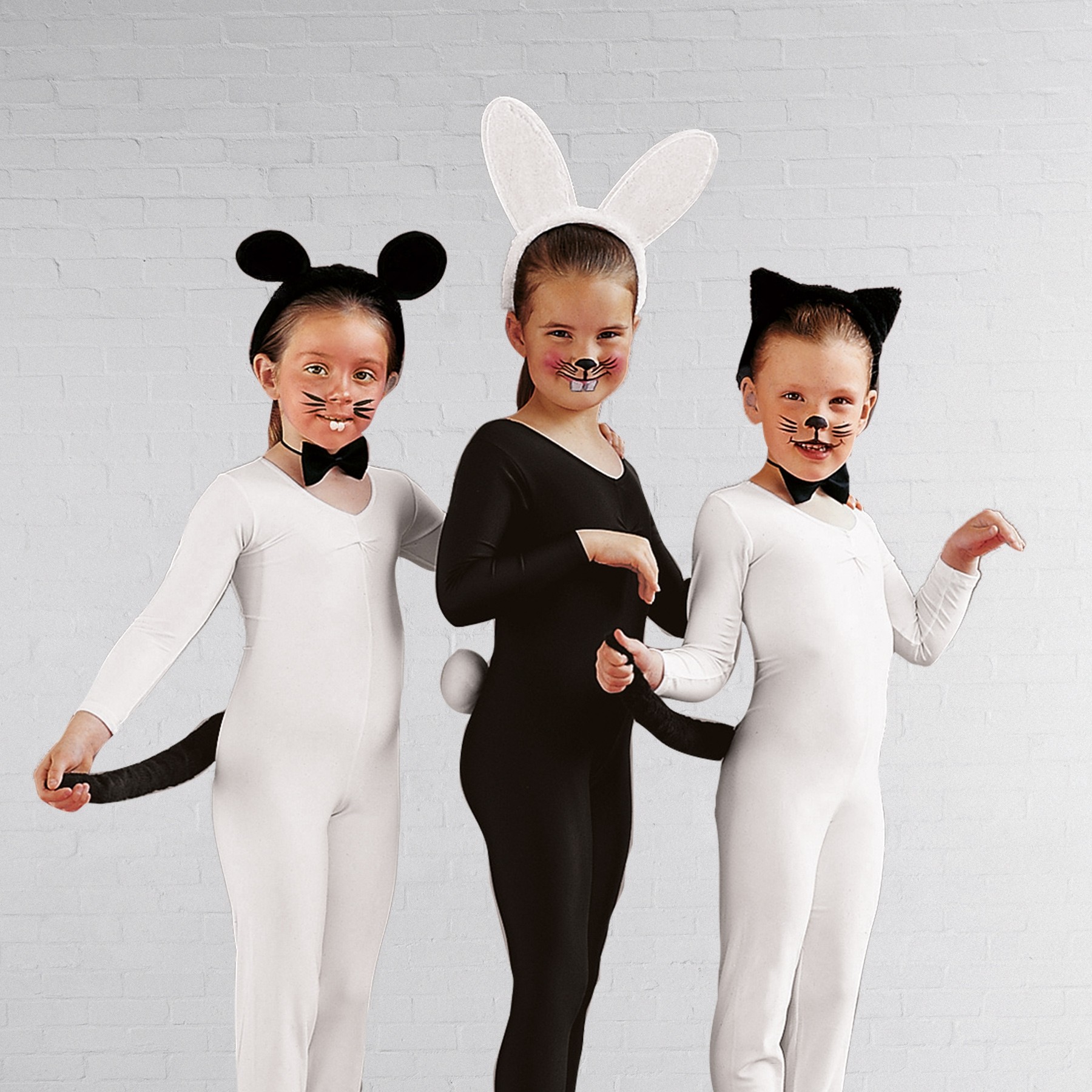 Katzen-Set