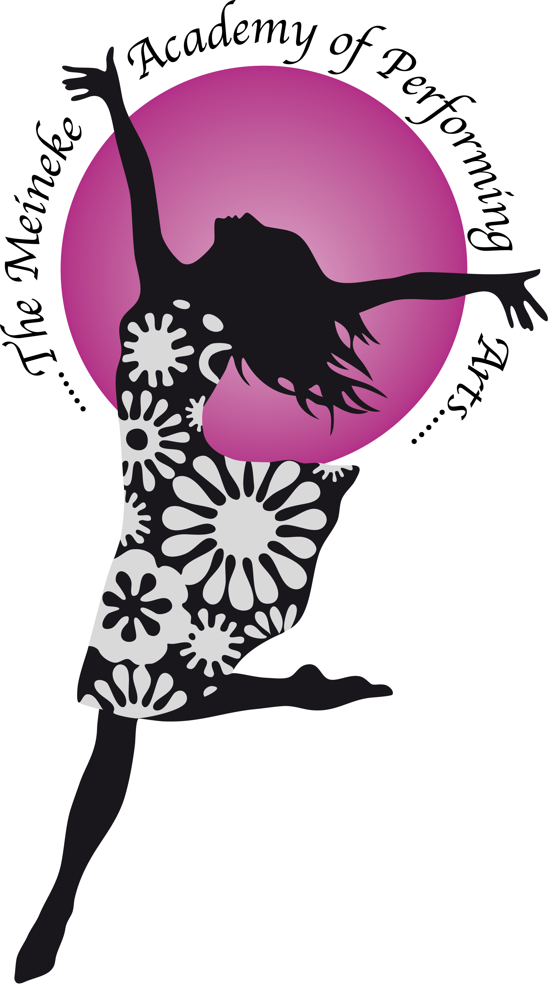 The Meineke Academy Of Performing Arts
